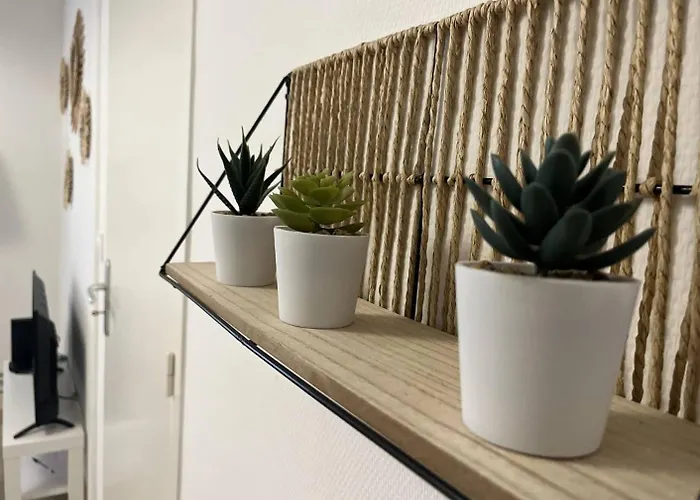 Appartement Charme Et Confort Dans Le Centre-ville De Quartier Calme - Larès *