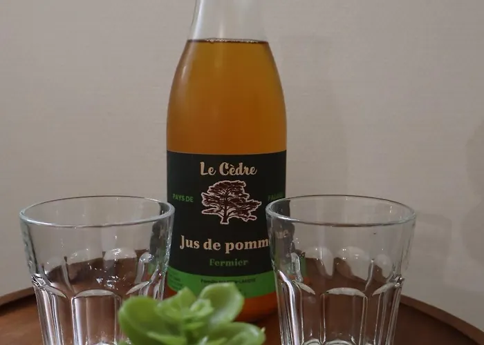 Charme Et Confort Dans Le Centre-ville De Quartier Calme - Lares Lejlighed *